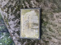 IMG_6050.jpeg