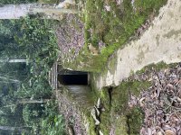 IMG_6048.jpeg