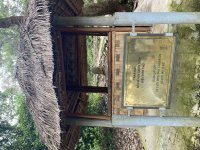 IMG_6032.jpeg