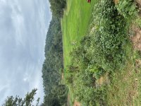 IMG_6087.jpeg