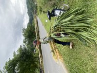 IMG_6092.jpeg