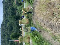 IMG_6098.jpeg