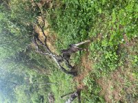 IMG_6103.jpeg