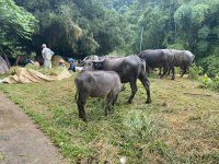 IMG_6108.jpeg