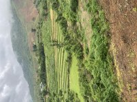 IMG_6162.jpeg