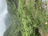 IMG_6166.jpeg