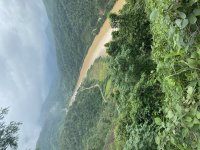 IMG_6168.jpeg