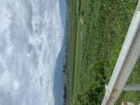 IMG_6211.jpeg