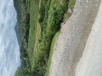 IMG_6203.jpeg