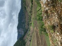IMG_6197.jpeg