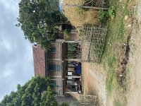 IMG_6206.jpeg