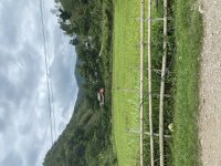 IMG_6205.jpeg