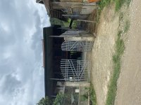 IMG_6207.jpeg