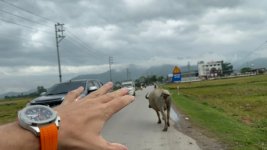 IMG_6301.jpeg