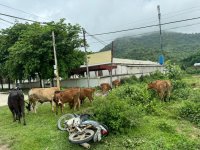 IMG_6303.jpeg