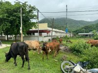 IMG_6304.jpeg