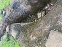 IMG_6278.jpeg