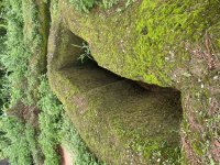 IMG_6253.jpeg