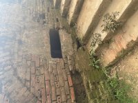IMG_6277.jpeg