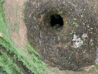 IMG_6260.jpeg
