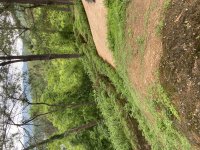 IMG_6261.jpeg