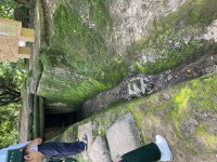 IMG_6266.jpeg