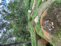 IMG_6250.jpeg