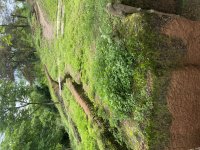 IMG_6231.jpeg