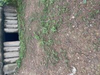 IMG_6251.jpeg