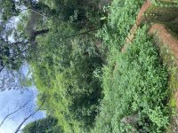 IMG_6244.jpeg