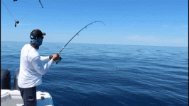 E6C47C16-7CDC-4233-A5C1-06004F433F60.gif