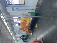 IMG_6349.jpeg