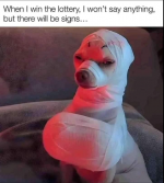 1717620181124.png