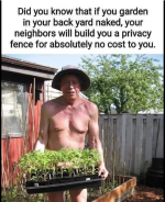 1717689764920.png