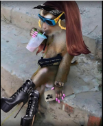 1717771866794.png