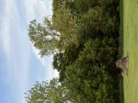 IMG_7629.jpeg