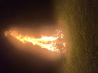IMG_7642.jpeg