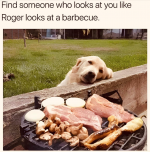1718040967849.png