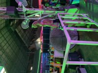 IMG_6796.jpeg