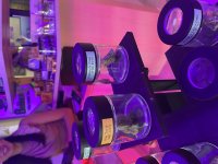 IMG_6897.jpeg