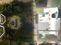 IMG_6905.jpeg