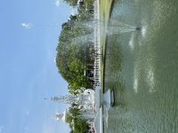 IMG_6971.jpeg