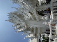 IMG_6969.jpeg