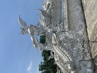 IMG_6967.jpeg