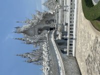 IMG_6966.jpeg