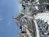 IMG_6964.jpeg
