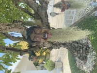 IMG_6961.jpeg