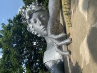 IMG_7009.jpeg