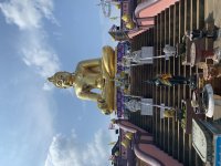 IMG_7028.jpeg