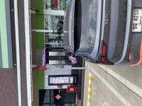 IMG_7033.jpeg